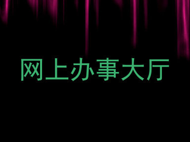网上办事大厅