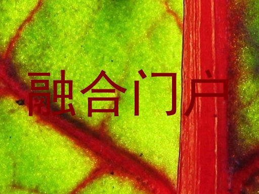 融合门户