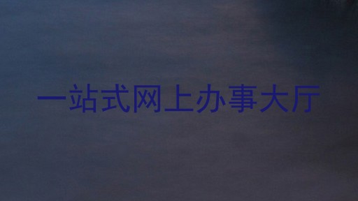 一站式网上办事大厅