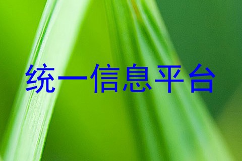 统一信息平台