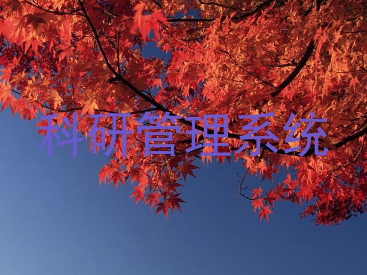 科研管理系统