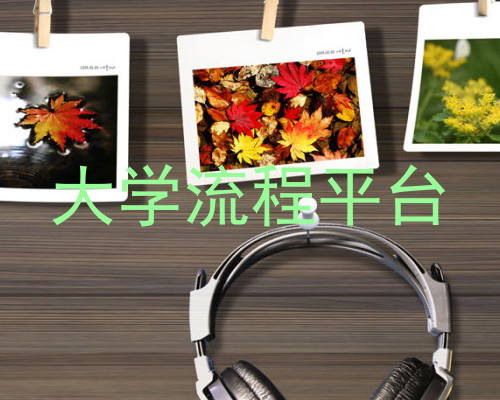 大学流程平台