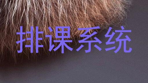 排课系统