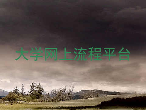 大学网上流程平台