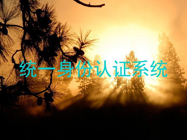 统一身份认证系统