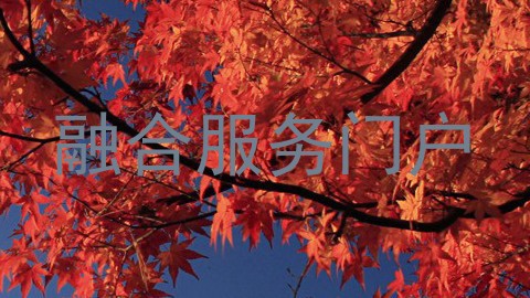 融合服务门户