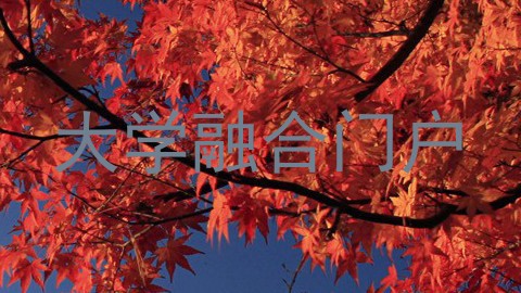 大学融合门户