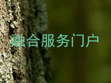 融合服务门户