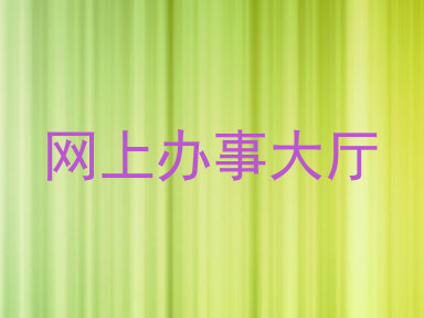 网上办事大厅