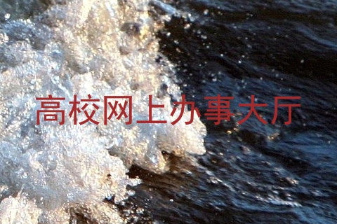 高校网上办事大厅