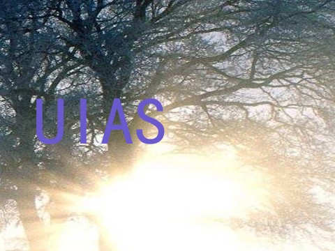 UIAS