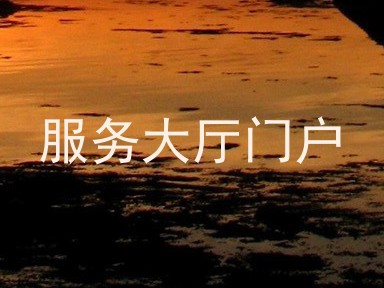 服务大厅门户