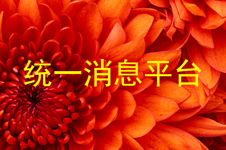 统一消息平台