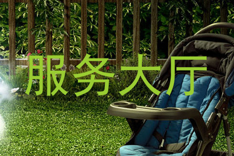 服务大厅