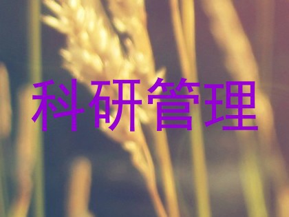 科研管理
