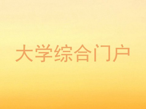 大学综合门户
