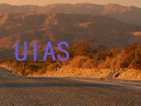 UIAS