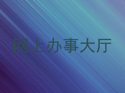 网上办事大厅