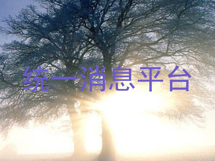 统一消息平台