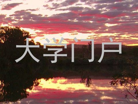 大学门户