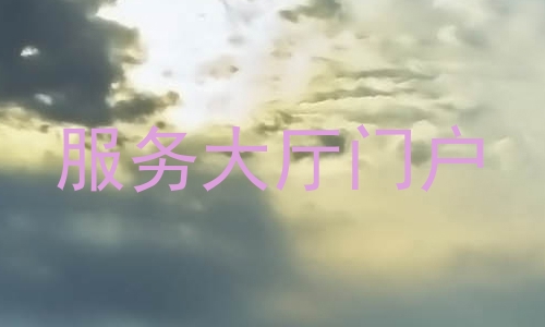 服务大厅门户