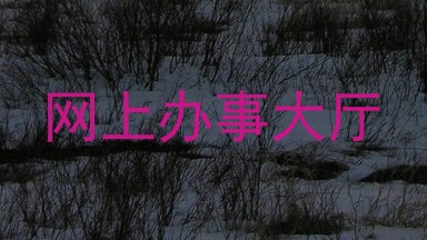 网上办事大厅