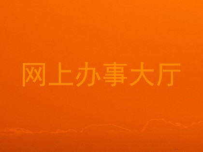 网上办事大厅