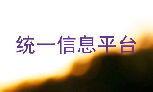 统一信息平台