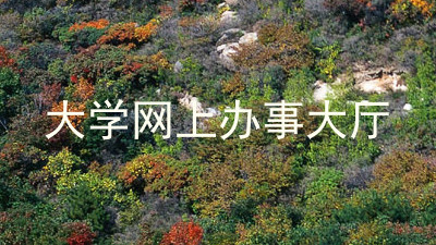 大学网上办事大厅