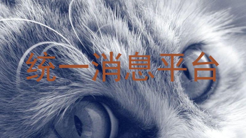 统一消息平台