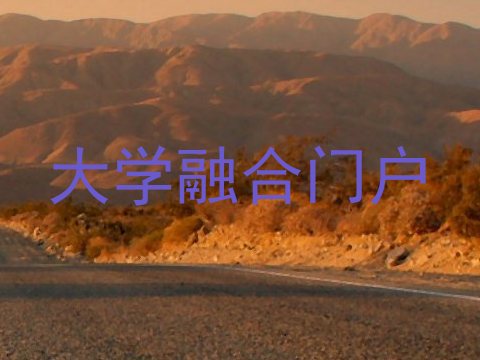 大学融合门户