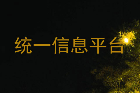 统一信息平台