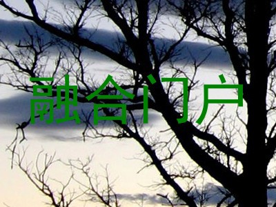 融合门户