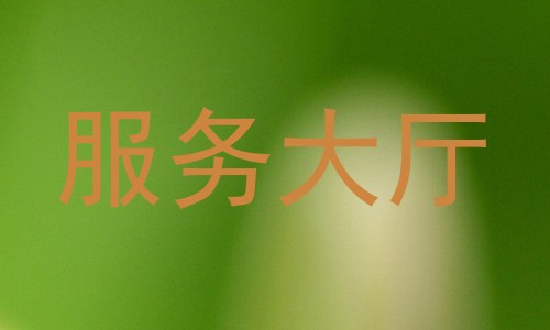 服务大厅