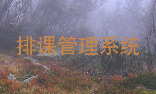 排课管理系统