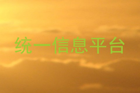 统一信息平台
