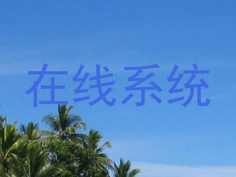 在线系统