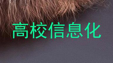 高校信息化