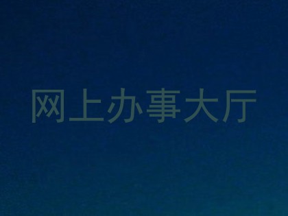 网上办事大厅