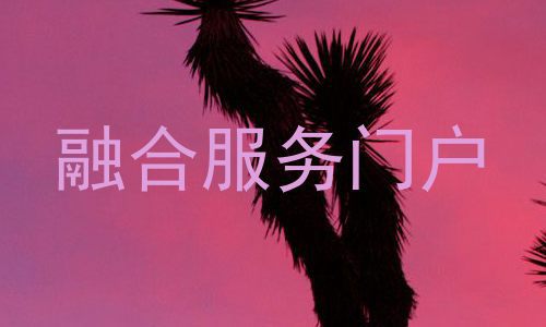 融合服务门户