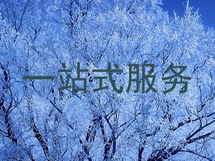 一站式服务