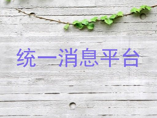 统一消息平台