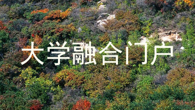 大学融合门户