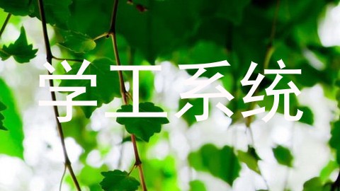 学工系统