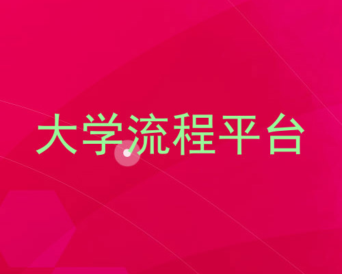 大学流程平台