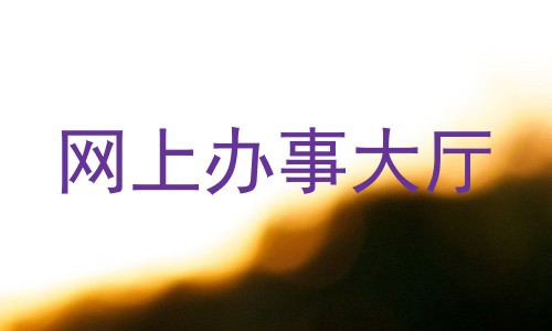 网上办事大厅