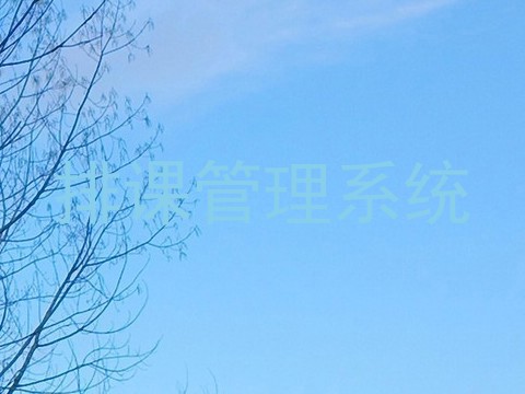 排课管理系统