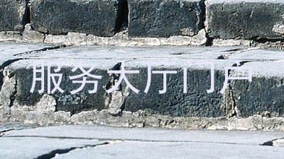 服务大厅门户