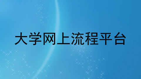 大学网上流程平台