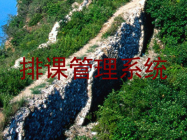 排课管理系统